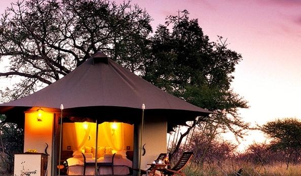 Voyage sur-mesure, Lodge écologique de luxe dans le bush